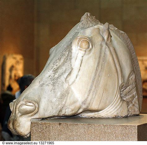 Statue Of A Horses Head From The Chariot Of The Moon Goddess Selene