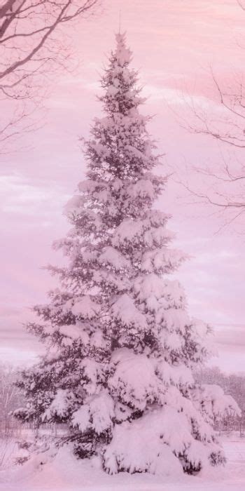 Pink Winter Wonderland