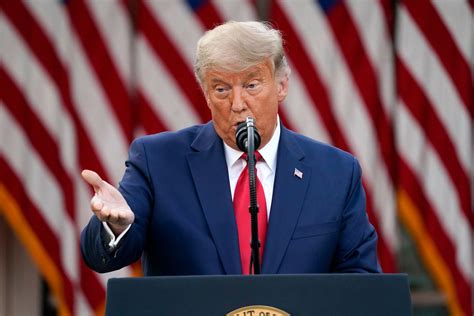 Maybe you would like to learn more about one of these? Donald Trump Haare / Donald Trumps Haar Neue Frisur Des Us ...