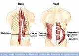 Lumbar Core Strength Exercises Pictures