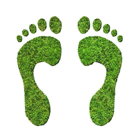 Reduce Your Carbon Footprint With Eco Friendly Waste Disposal Solutions