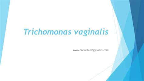 Trichomonas Vaginalis Online Biology Notes