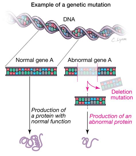Genomic Medicine Genetics And Genomics Jama Jama Network