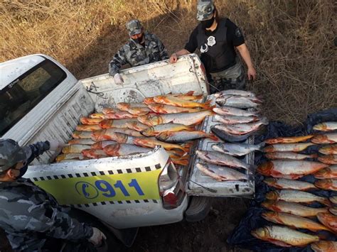 Secuestraron Más De 180 Kilos De Pescados Capturados De Manera Ilegal