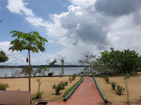 An Overview Of Sloth Island In Guyana Crossing World Borders