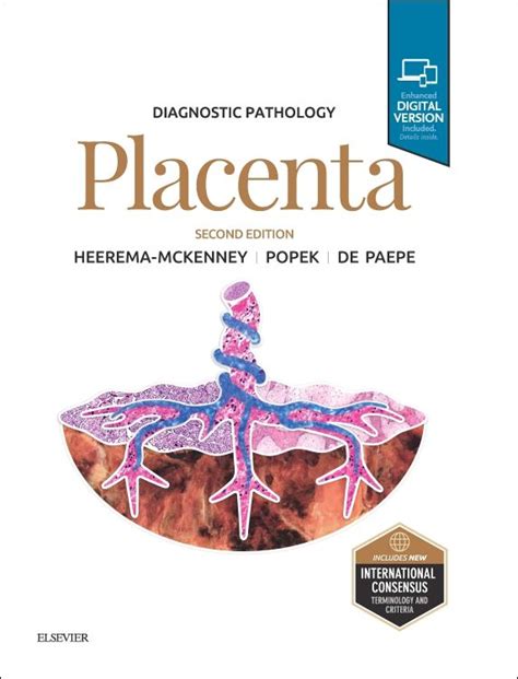 Diagnostic Pathology Placenta 2nd Edition Amy Heerema Mckenney