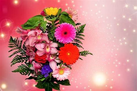 Emotions Flowers Valentines Day Give Joy Love Bouquet Gerbera