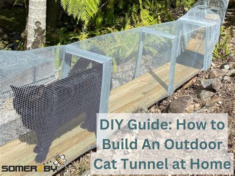 Diy Guide How To Build Outdoor Cat Tunnel At Home