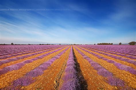 See all 19 plateau de valensole tours on tripadvisor  Explore   Provence  Plateau de Valensole, Lavender Fi… | Flickr