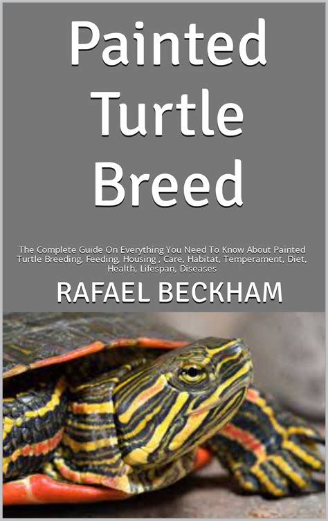 Painted Turtle Breed The Complete Guide On Everything You Need To