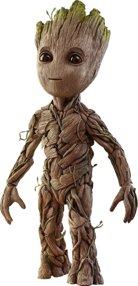 Groot Png Transparent Image Download Size 469x970px