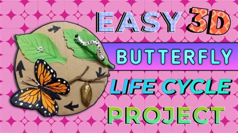 How To Make Butterfly Life Cycle Model D Butterfly Life Cycle Model