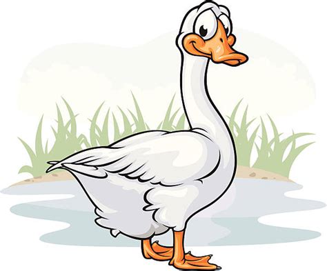 Goose Clip Art Vector Images And Illustrations Istock