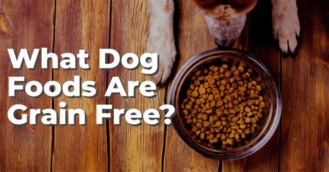 What Dog Foods Are Grain Free Dog Endorsed