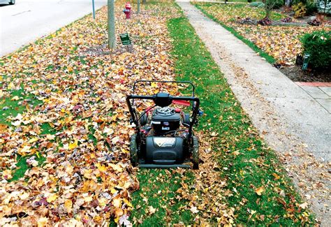 Best Five 5 Lawn Mower For Mulching Leaves Justagric