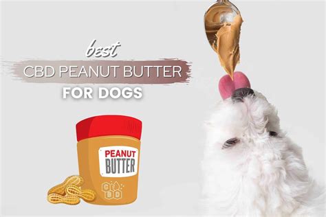 Best Dog Cbd Peanut Butter Benefits Top Brands Safe Reviews