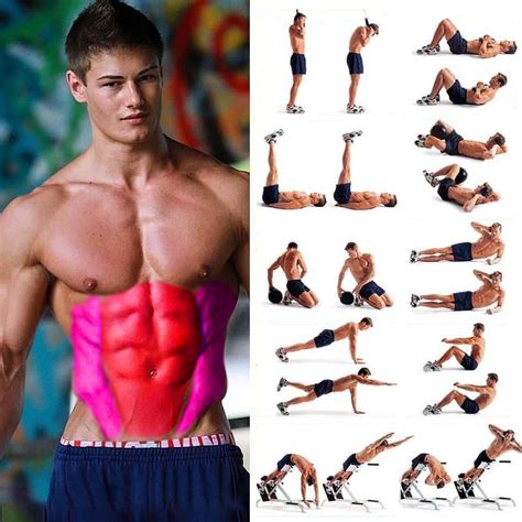 Oblique Abdominal Muscles Abs Workout Abdominal Muscles Mini Workouts