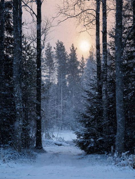 Weekly Inspiration 29 Winter Landscape World Of Darkness Photo