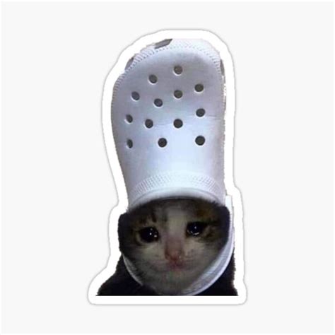Crying Cat Croc Meme 5pcs Stickers For Kid Laptop Decor Water Bottles