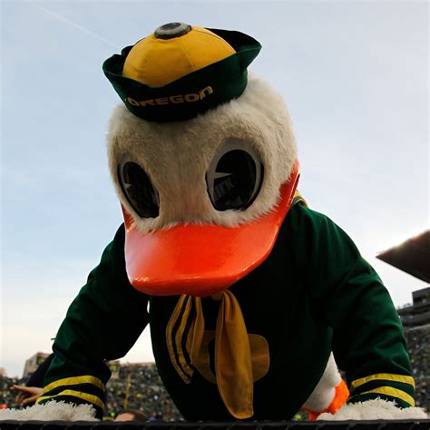 Oregon Ducks Awful Weekend Included Miserable Mascot Moments