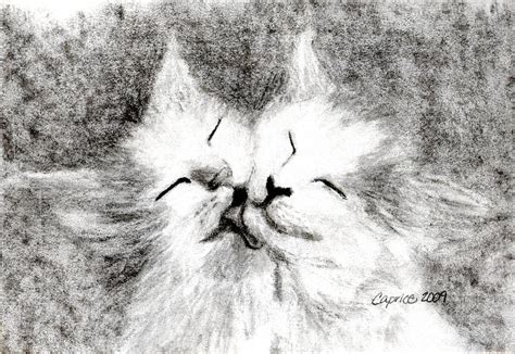 Kitten Love Drawing By Caprice Scott