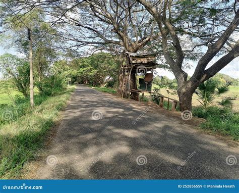 Road In The Rural Area In Sri Lanka Stock Image Image Of Estate