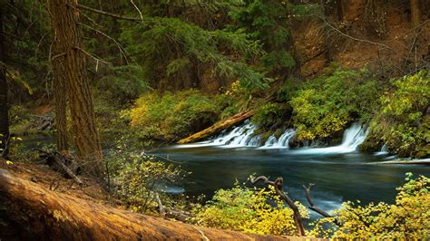 Oregon Forest Waterfall And River 4k Hd Nature Wallpapers
