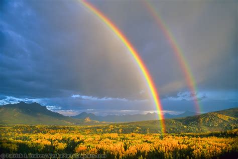 Double Rainbow Over Autumn Forest