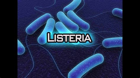Listeria A Risk For Pregnant Women Babies Elderly Listeria