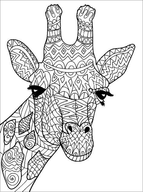 Giraffe Head Giraffes Adult Coloring Pages