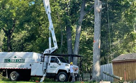 Benefits Of Hiring A Tree Company With A Bucket Truck Jc Tree Care