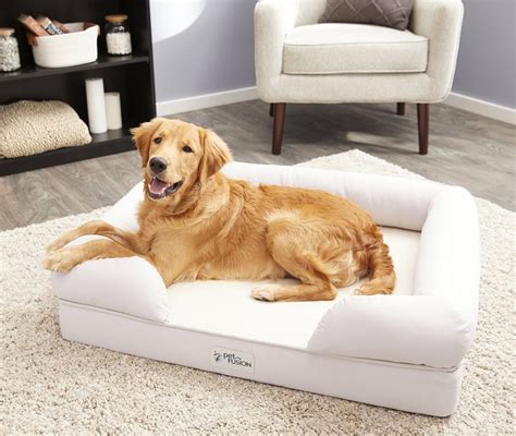 Best And Most Comfy Dog Beds For Golden Retrievers Of 2023 Dog Wish