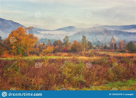 Beautiful Autumn Mountain Landscape Foggy Morning Stock Photo Image