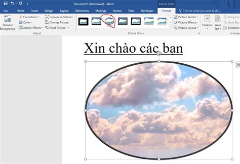 Hướng Dẫn Tạo Khung Viền Tròn Cho Hình ảnh Trong Word 2016