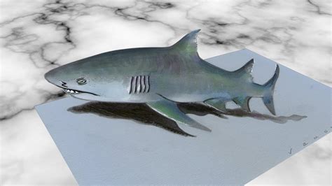 3 just click on the icons, download the file(s) and print them on your 3d printer GREY SHARK ILLUSION - How to Draw 3D Shark - Trick Art by ...