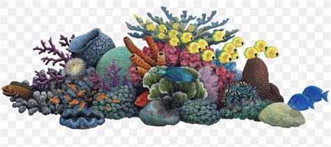 Coral Reef Sea Ocean Clip Art Png 1200x536px Coral Reef Aquarium