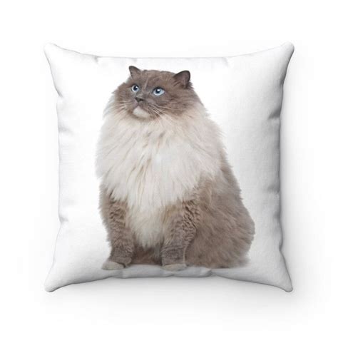 A Cat With Blue Eyes Sitting Down On A White Pillow Cover That Has The