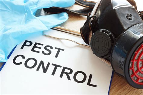How To Find The Best Pest Control Company In Your Area