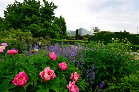 The Top 10 Public Gardens In Toronto