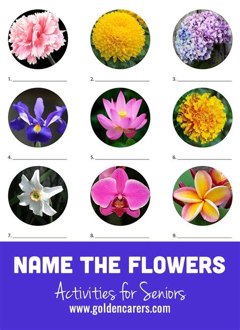 Name The Flowers 3 Another Visual Flower Quiz To Enjoy Games For