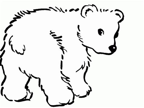 Mammals Bears Polar Bears Coloring Pages Think Positive Think Paint