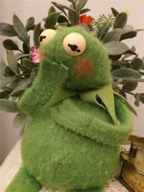 Also, i'm sure we all acknowledge the fact that pepe is viewed as a. Pin on wholesome