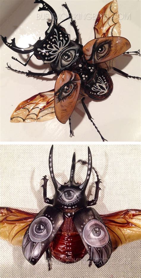 Beetles And Bugs Insect Art Beetle Art Bug Art