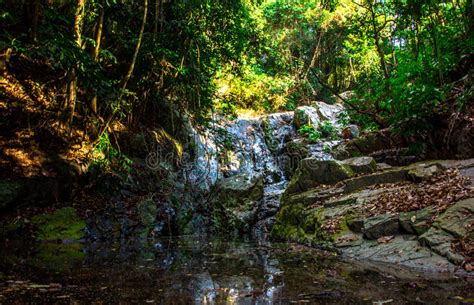Waterfall In Tropical Forest In Samui Stock Image Image Of Forest