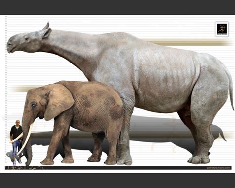 Блогът на Valentint Encyclopedia Largest Prehistoric Animals Vol 1