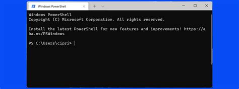 What Is The Windows Terminal Digital Citizen