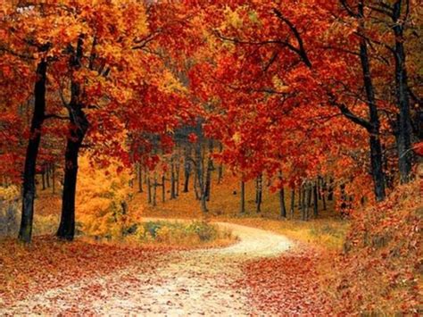 Fall Foliage 2017 Best Time To See Leaves Change In Virginia