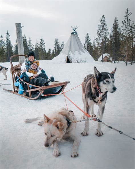 Dog Sledding In Finland The Best Husky Safari In Lapland Our Taste