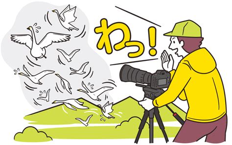 守ってくれてありがとう「みんなの撮影マナー」 野鳥撮影のマナー Enjoyニコン ニコンイメージング