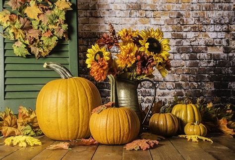 Csfoto Ft Background Pumpkin Sunflowers Floor Farm Graphy Backdrop